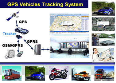 RFID Free Online Fleet GPS Car Camera Tracking System With Fuel System